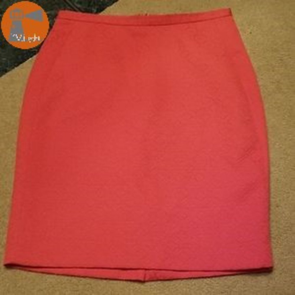 The Limited Skirt 4 Pink Lined 21 inches